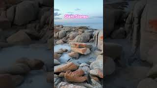 Amazing Stones #nature #sea #shorts