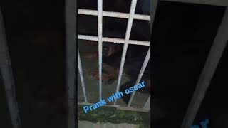 prank with Oscar /Pushkar Pandey #Dog #prank