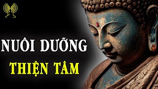 Lòng Chất Chứa Những Điều Tốt. Dùng Thiện Niệm Để Ứng Xử Với Mọi Người Sẽ Đem Đến Kết Quả Ngọt Lành