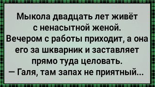 Как Ненасытная Жена Мыколу Мучила! Сборник Свежих Анекдотов! Юмор!