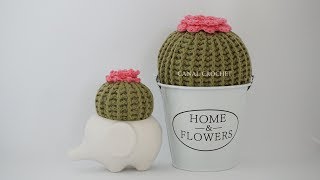 Cactus en punto relieve a crochet