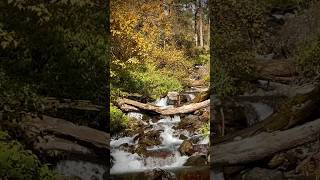 #langtangvalley #trending #nature #goviral #waterfall #peace