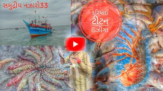 Discover the Wonders Beneath the Waves: દરિયાઈ જીવ || समुदीय मछुआरा ⚓️🐙🦈