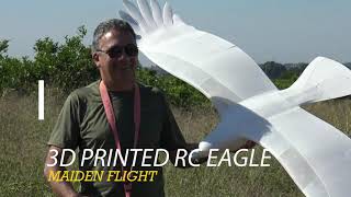 3D Printed RC Eagle Maiden Flight.