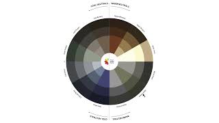 Neutrals Color Wheel