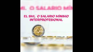 SALARIO MÍNIMO INTERPROFESIONAL 2024