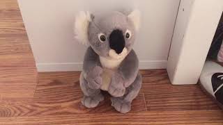 My New Stuffed Koala Bear