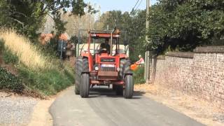 Landbouwhaspengouw- Team Dallas in het gras