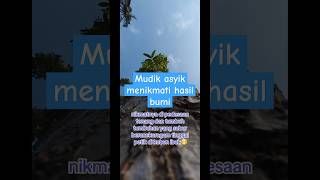 Mudik #asyik #seru #menikmatialam #tenang #fypシ゚viral #shorts #video #bersyukur #rejeki