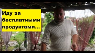 Болгария! Бесплатные продукты!