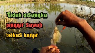 Mancing di pinggir sawah