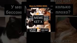 😿😻🌈💟и #катях #юмор #мем