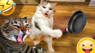 New Funny Animals 😂 Funniest Cats and Dogs Videos 😺🐶 2024 part 36