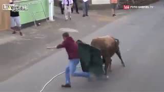 NEVER use ipad in front of BULL!!