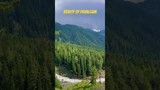 #kashmir#trending#viral #youtubeshorts#youtube #nature #travel #love #shortsvideo #shorts #pahalgam