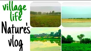 Village life in Pakistan | nature's vlog viral video | @beautifulnature7369