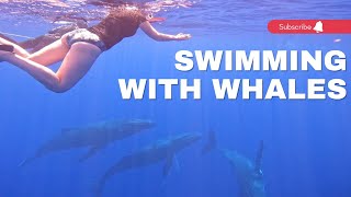 Swimming with Humpback Whales in Moorea: My Ultimate Bucket List Experience