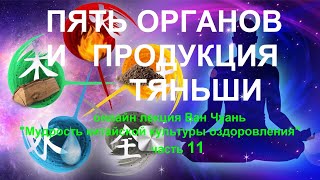 11. Пять органов и продукция Тяньши