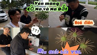 Con Na Dắt Và Trái Cồ Na Khuấy Đảo Cuốn Ngu Team Trung Trẻ Trâu