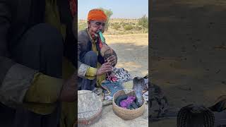 Jogi Been Bajai | Instrument of Jogi Faqeer Murli | Snake | Cultural Moments