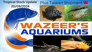 Tropical Stock Update 20/09/2024 Plus Taiwan Shipment 🇹🇼