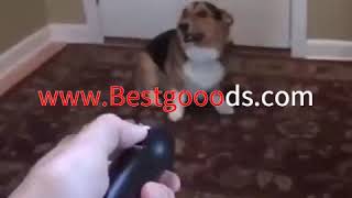 ANTI BARKING TRAINING GADGET FOR PETS #dogs #dogsofinstagram #dog #dogstagram #puppy #instadog