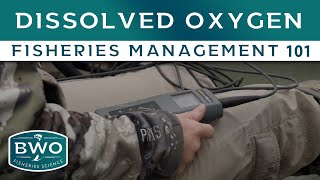 Dissolved Oxygen. When do you need to be concerned? - Fisheries Management 101