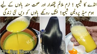 Homemade Protein Shampoo | DIY Egg Shampoo | Soft Silky Smooth Shiny Hair