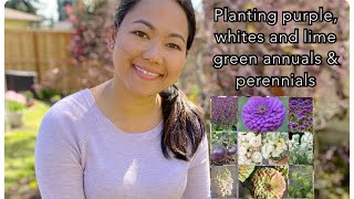 PLANTING Purple, Whites & Lime Green annuals and perennials 💜💚🤍 | Balloon vine, Zinnias & more 🌱