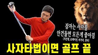 제가 초보라면 무조건 사자타법 합니다! 총알 임팩트 골프 엑기스 총집합