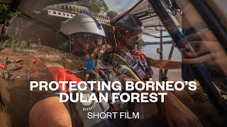 Protecting Borneo's Dulan Forest | Short Film