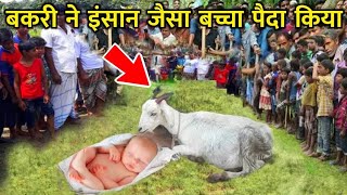 Bakri Ne Insani Bache Ko paida kiya | Islamic stories Hindi/urdu | Sabaq Amoz waqia 😱