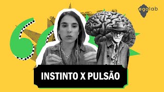 Instinto x Pulsão