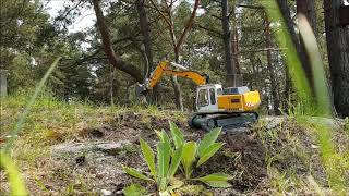 Liebherr 922 RC Leimbach Weg zum Fluss verbreitern