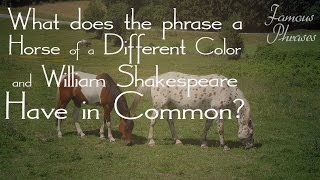 Horse of a Different Color - Famous Phrases with Eddie Brill