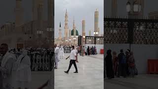 ROZA E RASOOL SAW #مسجدنبوی #shortvideo