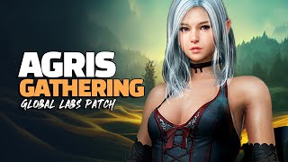 💹 AGRIS GATHERING!! Field Bosses Revamped, Berserker Changes, QoL Changes & more!