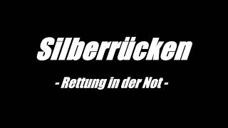 SILBERRÜCKEN - Rettung in der Not