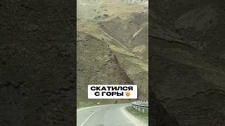 Очевидцы засняли, как бычок скатился с горы и выжил. #дагестан