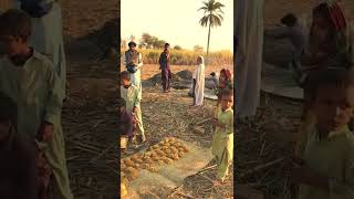 Desi style me Ghur tayar ho rha he|creat jaggery in pakistani village.