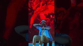 Tyler The Creator - Odd Toddlers (Live) @Coachella 2024 Weekend 1