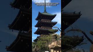 Japan 🇯🇵:A Country Of Contrasts Some Unique Facts You Never knew!  #trend#ytshorts #viral #japan