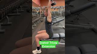 Seated Tricep Extension