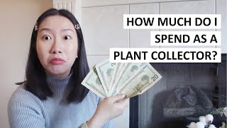 How Much Do I Spend Per Month As A Plant Collector and Plant YouTuber? My View On Plant Purchases