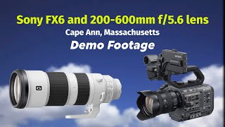 Sony FX6 Demo footage with 200-600mm - Cape Ann, MA