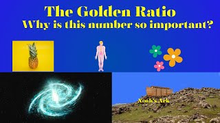 The Fibonacci Sequence and The Golden Ratio: Watch until the end and your mind will be blown!