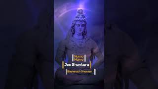 Om Namo Namo hai Shankara | ॐ नमो नमो है शंकरा|