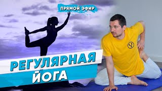 Регулярная йога | Йога для начинающих | Йога Чести