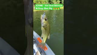 Bass Fishing at Leaser Lake, XZONE - Drop Shot Action