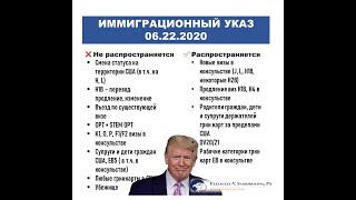 Елизавета Саморукова о текущей ситуации, связанной с указом о приостановлении иммиграции